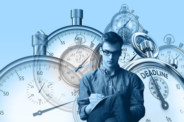 Un-taming the Productivity Beast: Five Key Areas to Unleash Your Business’s Inner Tiger (Without Biting Your Team)